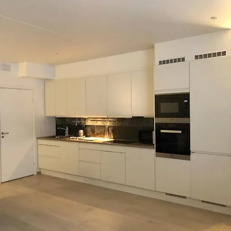 Center Oslo- Venice Sea Side Three-bedrooms And Two Toilettes 公寓 *